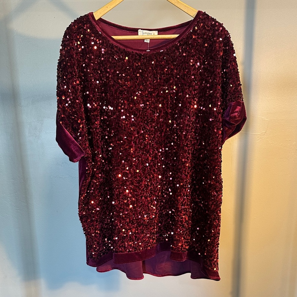 Umgee Sparkling Wine Sequin Blouse